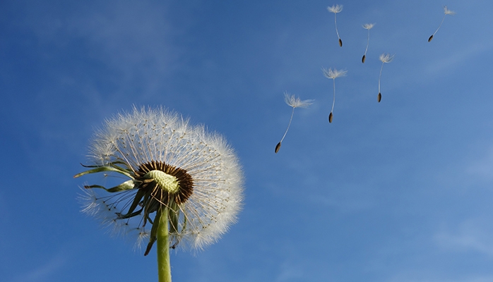 10 questions pour comprendre l’ESG 